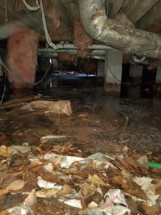Crawl space flood assessment for Commercial Water Damage Restoration in Cave Creek